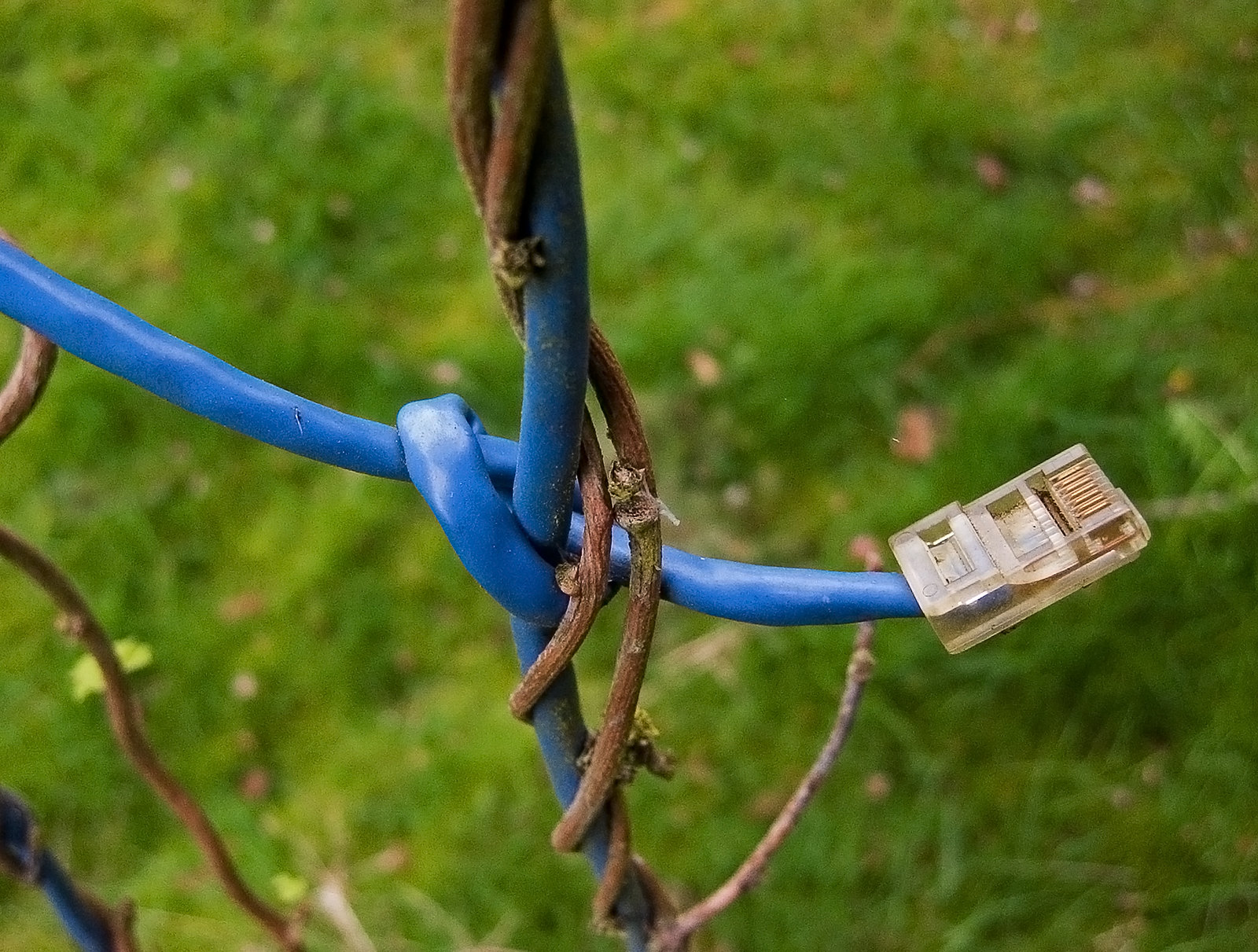 Brecha digital en tiempos de pandemia