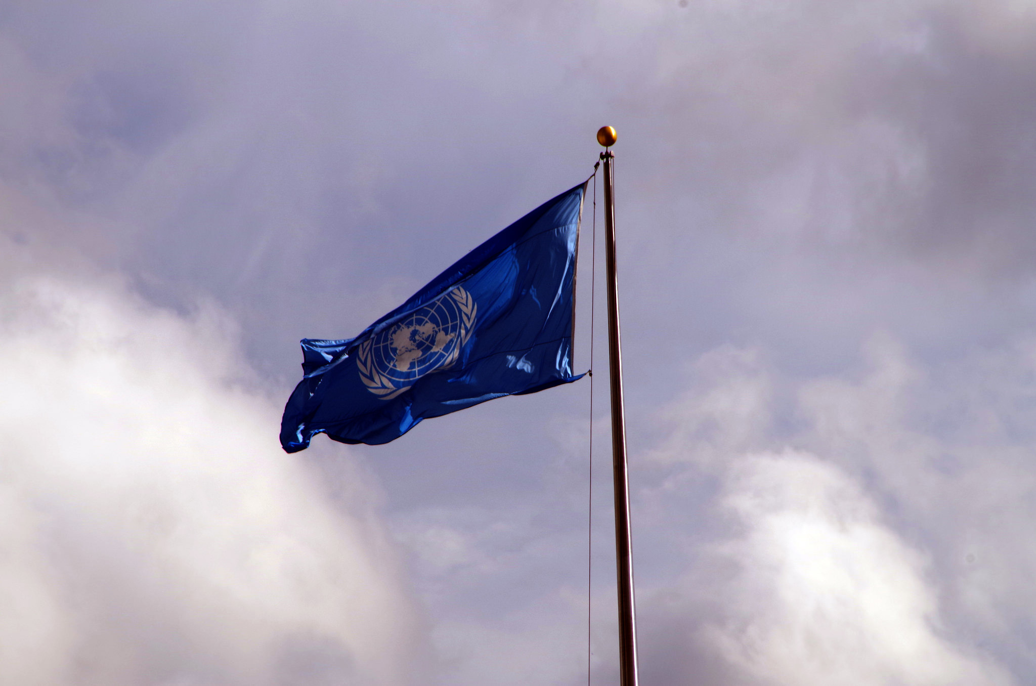 Democracias más robustas necesitan de la sociedad civil e internet