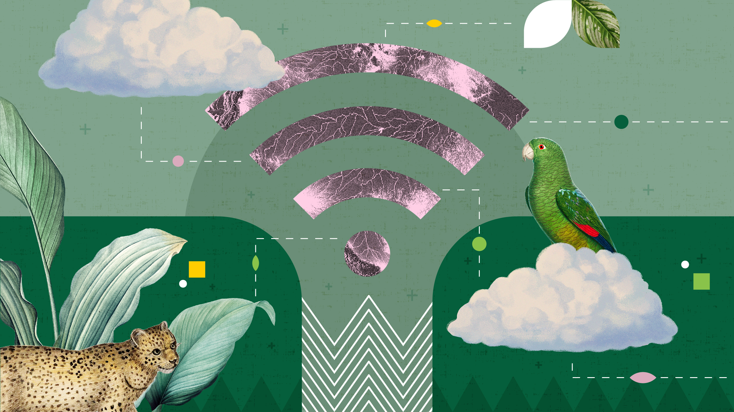 Acceso a internet en la región amazónica: brechas, anhelos, riesgos y oportunidades